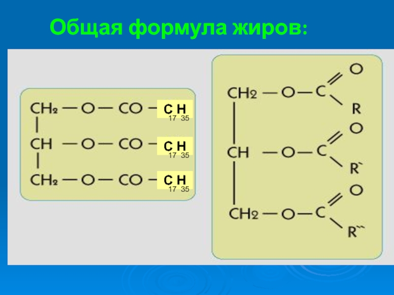 Химическая формула машинного масла